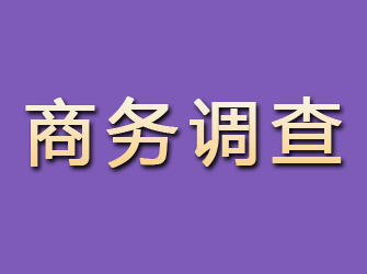 普宁商务调查